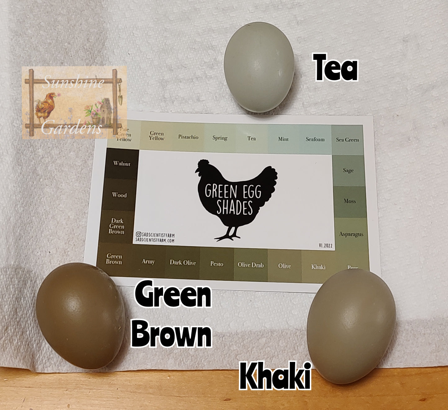 Lane Rae Olive Eggers (LROE) multi-generation - 12 Hatching Eggs*