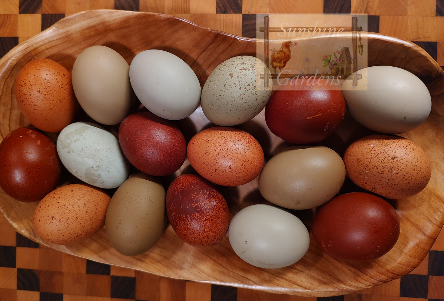 Rainbow Dozen - 12 Hatching Eggs*