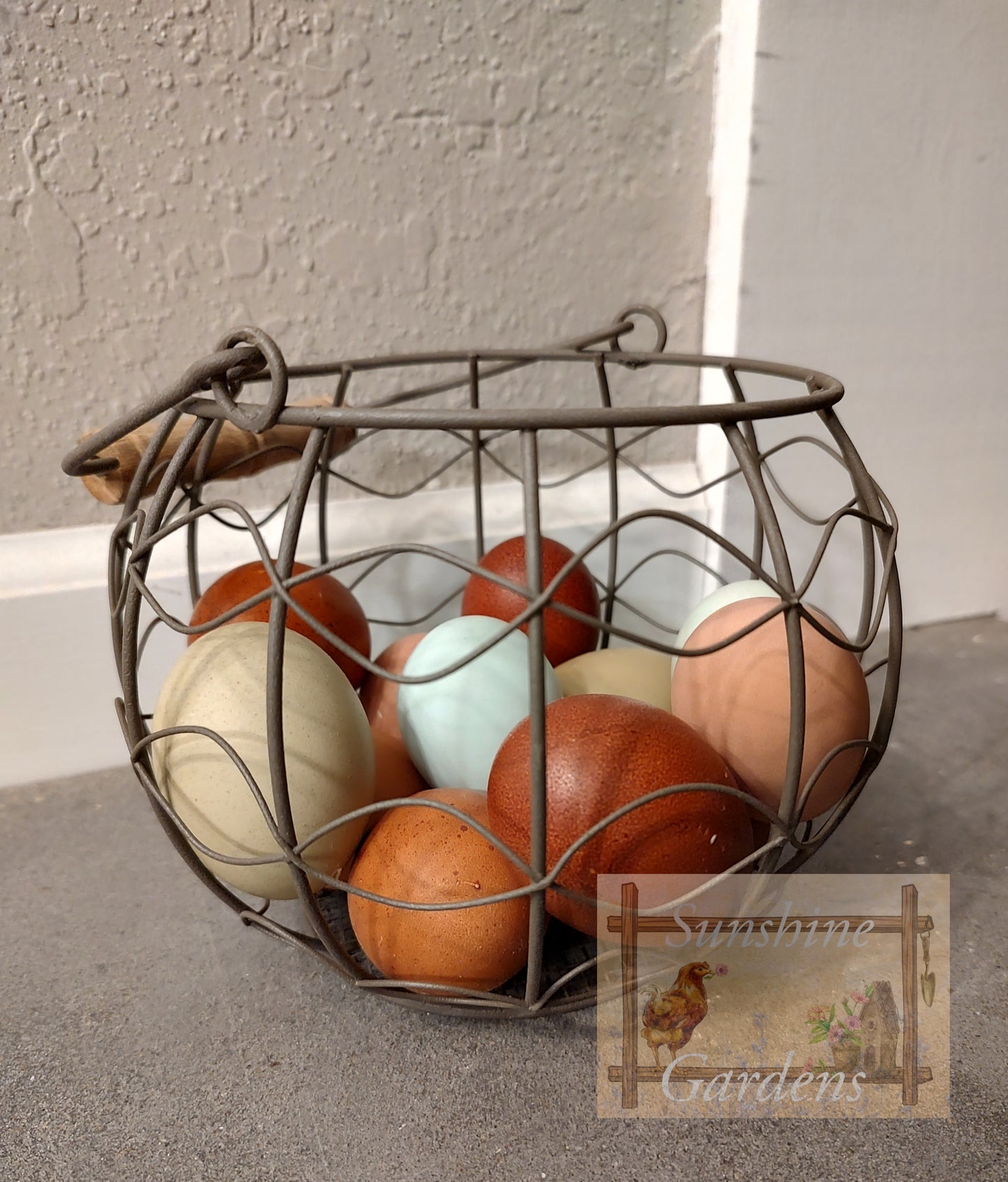 Shipping Included: Rainbow Dozen - 12 Hatching Eggs*