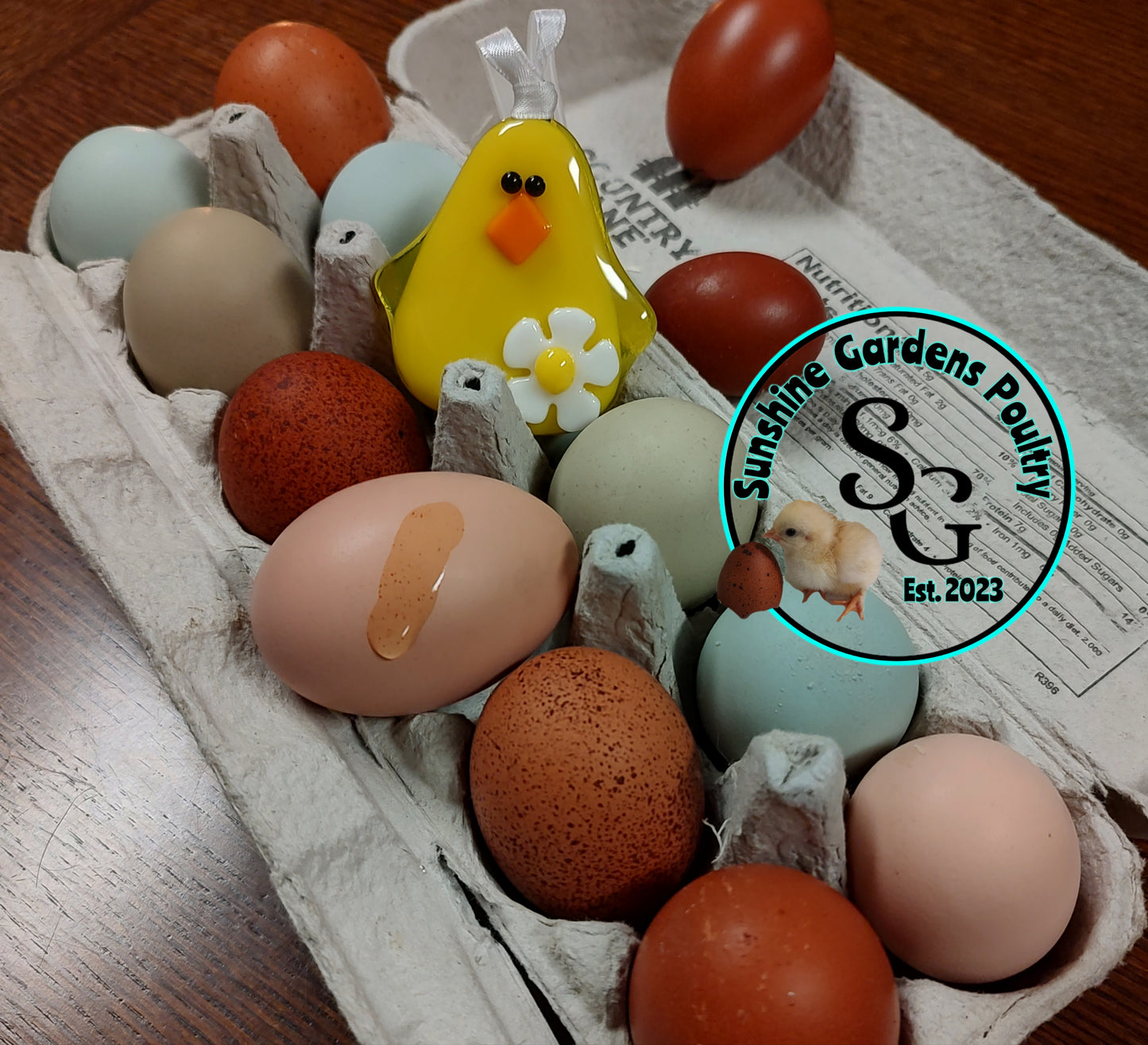 Rainbow Dozen - 12 Hatching Eggs*