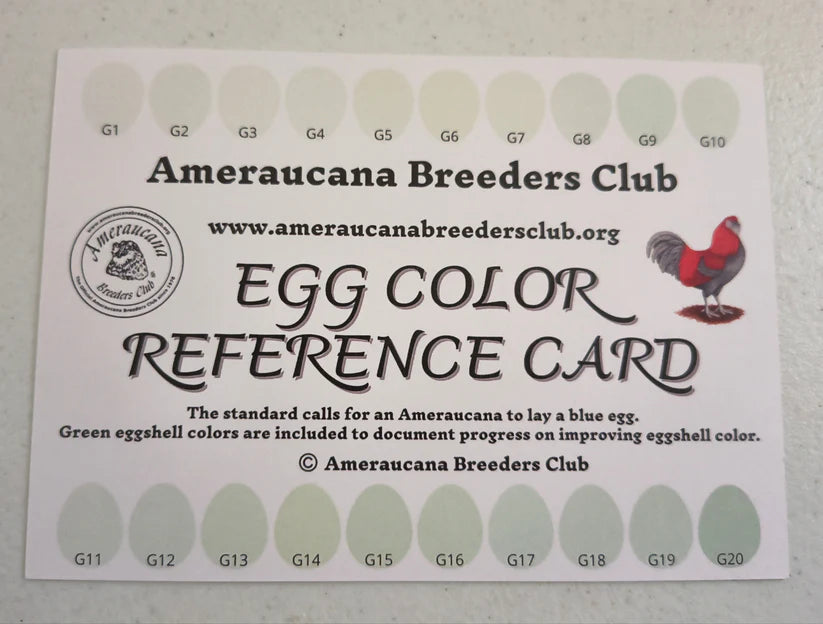 Wheaten (eWh) Ameraucana - Straight run ONLY