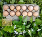 Heritage Rhode Island Reds - 6 Hatching Eggs*