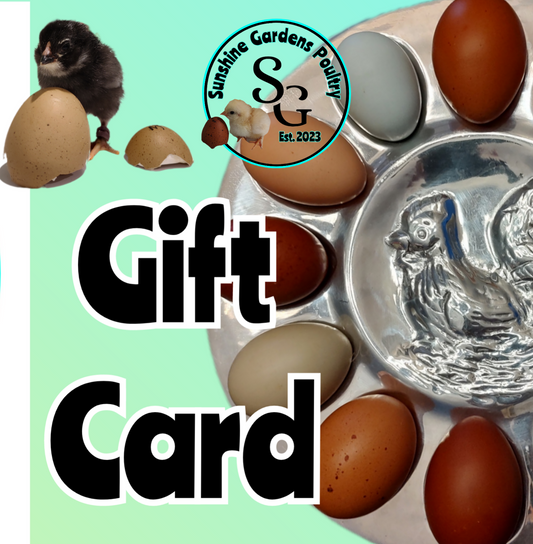 Gift Cards