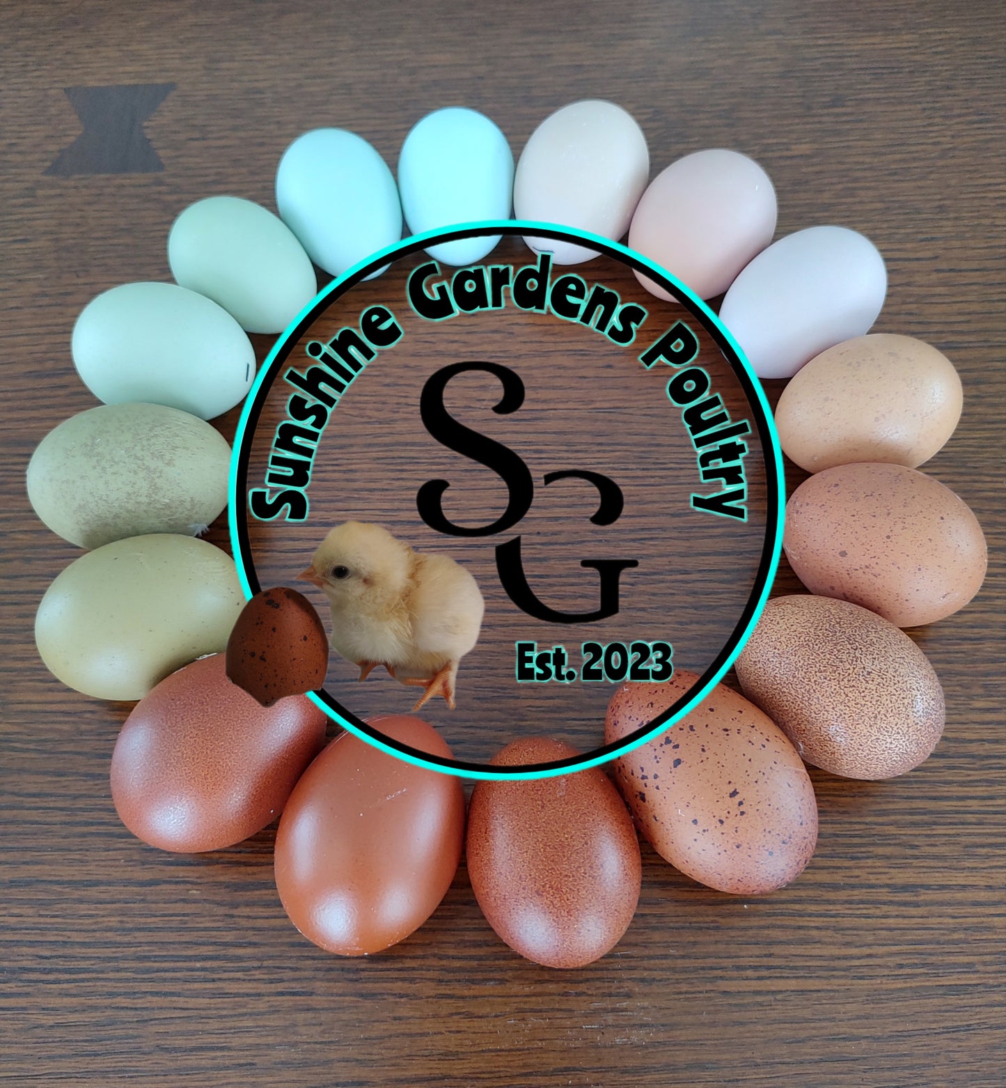 Rainbow Dozen - 12 Hatching Eggs*