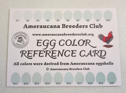 Cuckoo Ameraucanas - Straight run ONLY