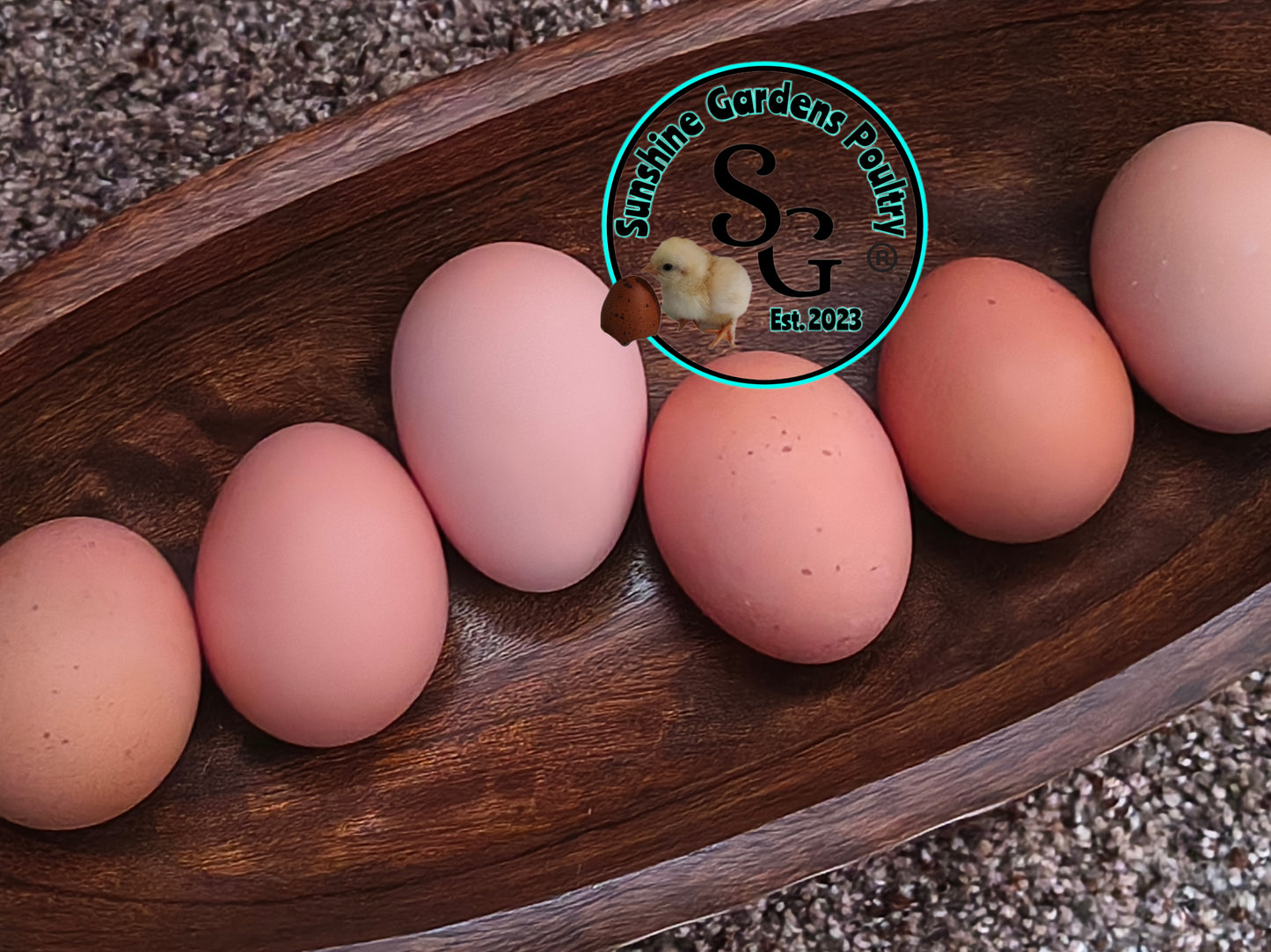 LOCAL PICK-UP Option: Rainbow Dozen - 12 Hatching Eggs*