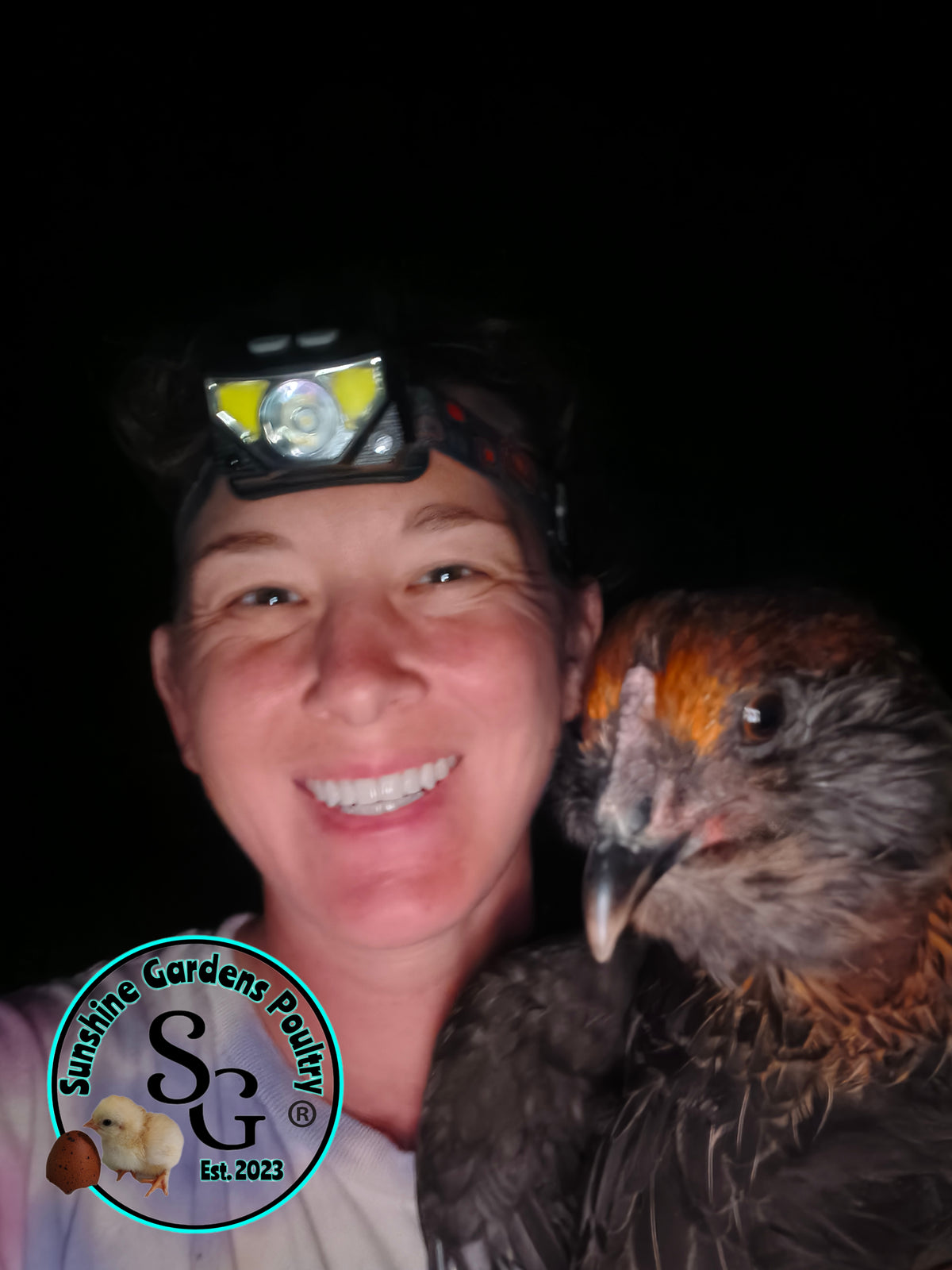 LOCAL PICK-UP Option: Christopher Lynn Rainbow Eggers (CLRE) - 12 Hatching Eggs*