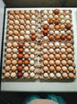 Eating eggs