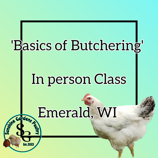 Basics of Butchering Class