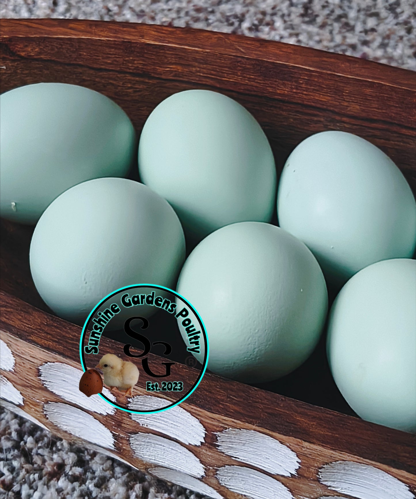 LOCAL PICK-UP Option: Christopher Lynn Rainbow Eggers (CLRE) - 12 Hatching Eggs*