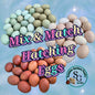 Mix & Match dozen - 12 Hatching Eggs