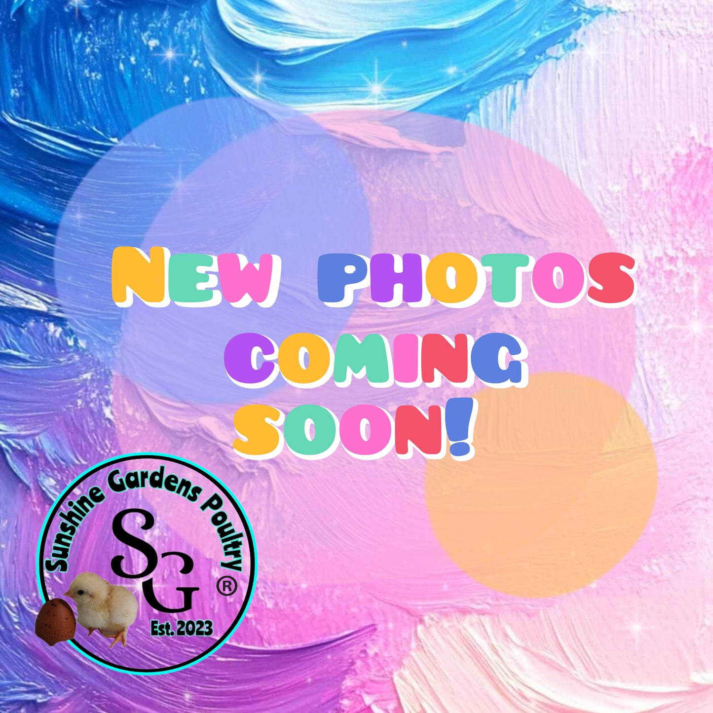 Christopher Lynn Rainbow Eggers (CLRE) - Straight run ONLY*