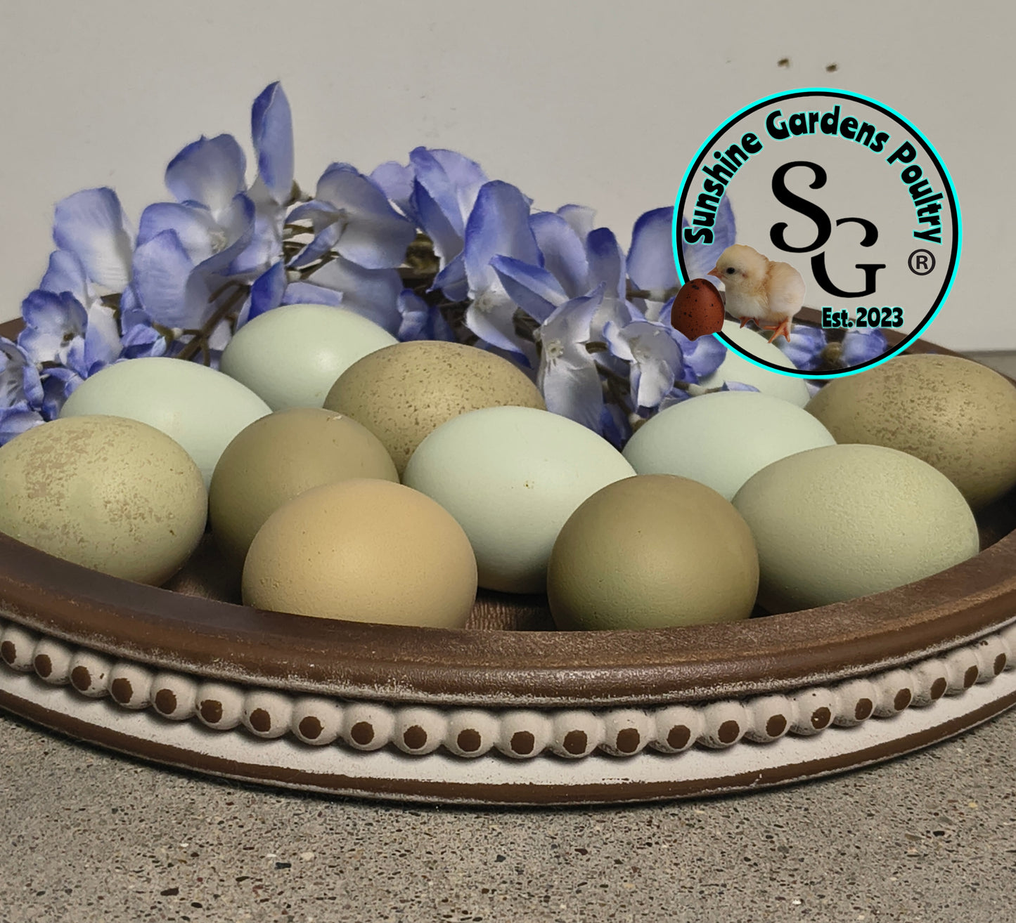 LOCAL PICK-UP Option: Christopher Lynn Rainbow Eggers (CLRE) - 12 Hatching Eggs*