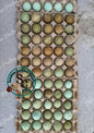 LOCAL PICK-UP Option: Christopher Lynn Rainbow Eggers (CLRE) - 12 Hatching Eggs*