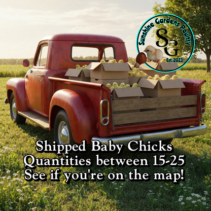 1-2 Day Chick Shipping: Spee-Dee Delivery
