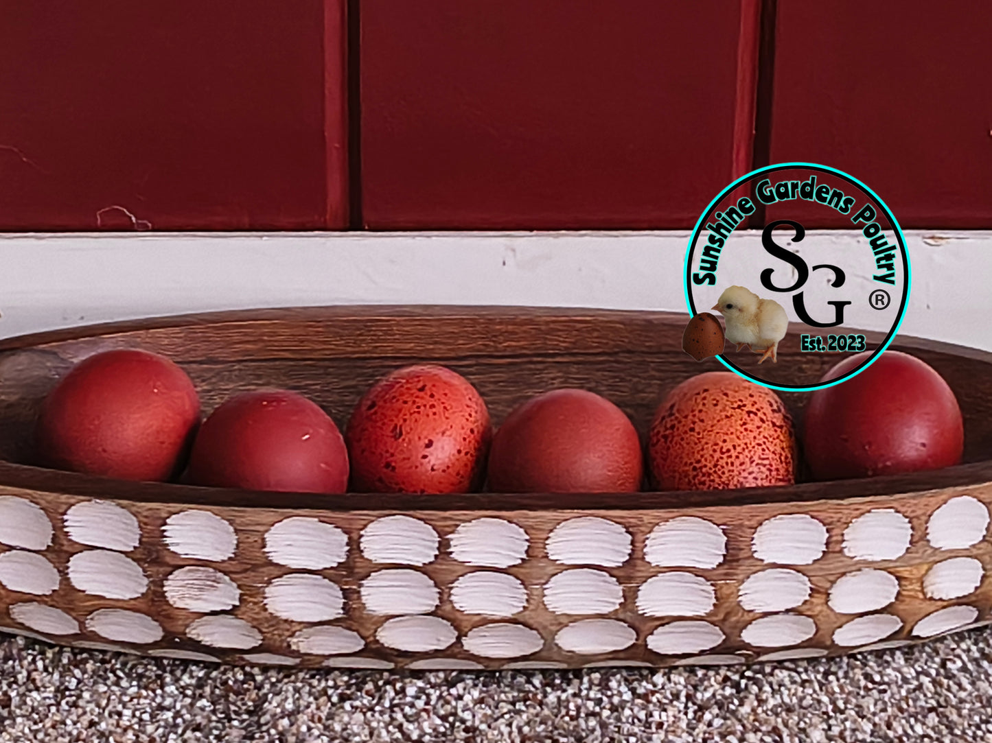 Shipping included: Black Tailed Red Marans - 12 Hatching Eggs*